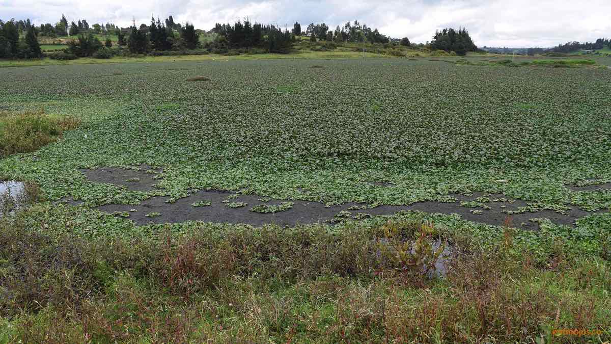 12. Represa La Playa