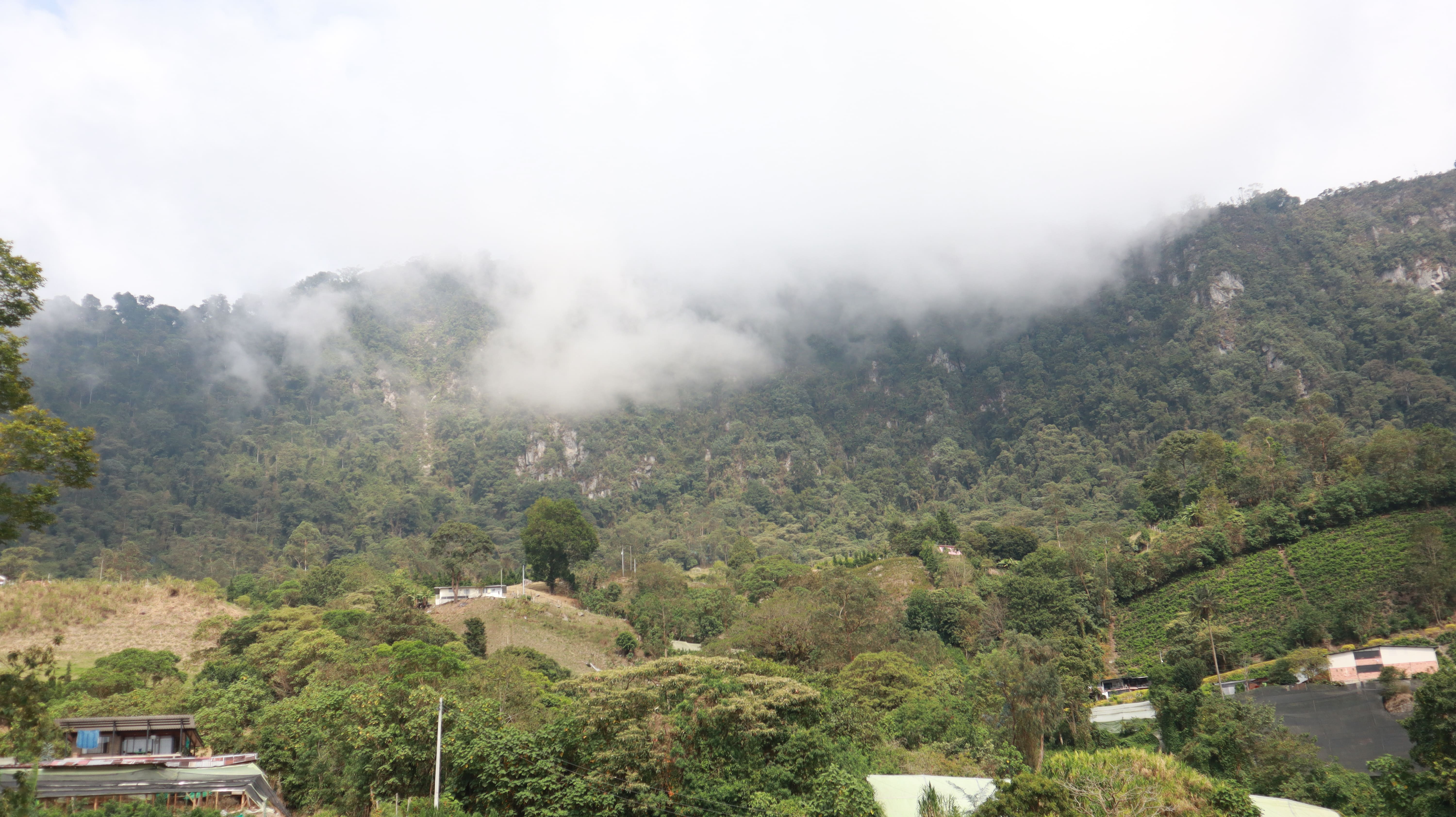 En la vereda Petaluma, en Cachipay, la comunidad asegura que algunas de las torres pueden afectar rondas hídricas. Foto: Juan Carlos Pérez Álvarez.