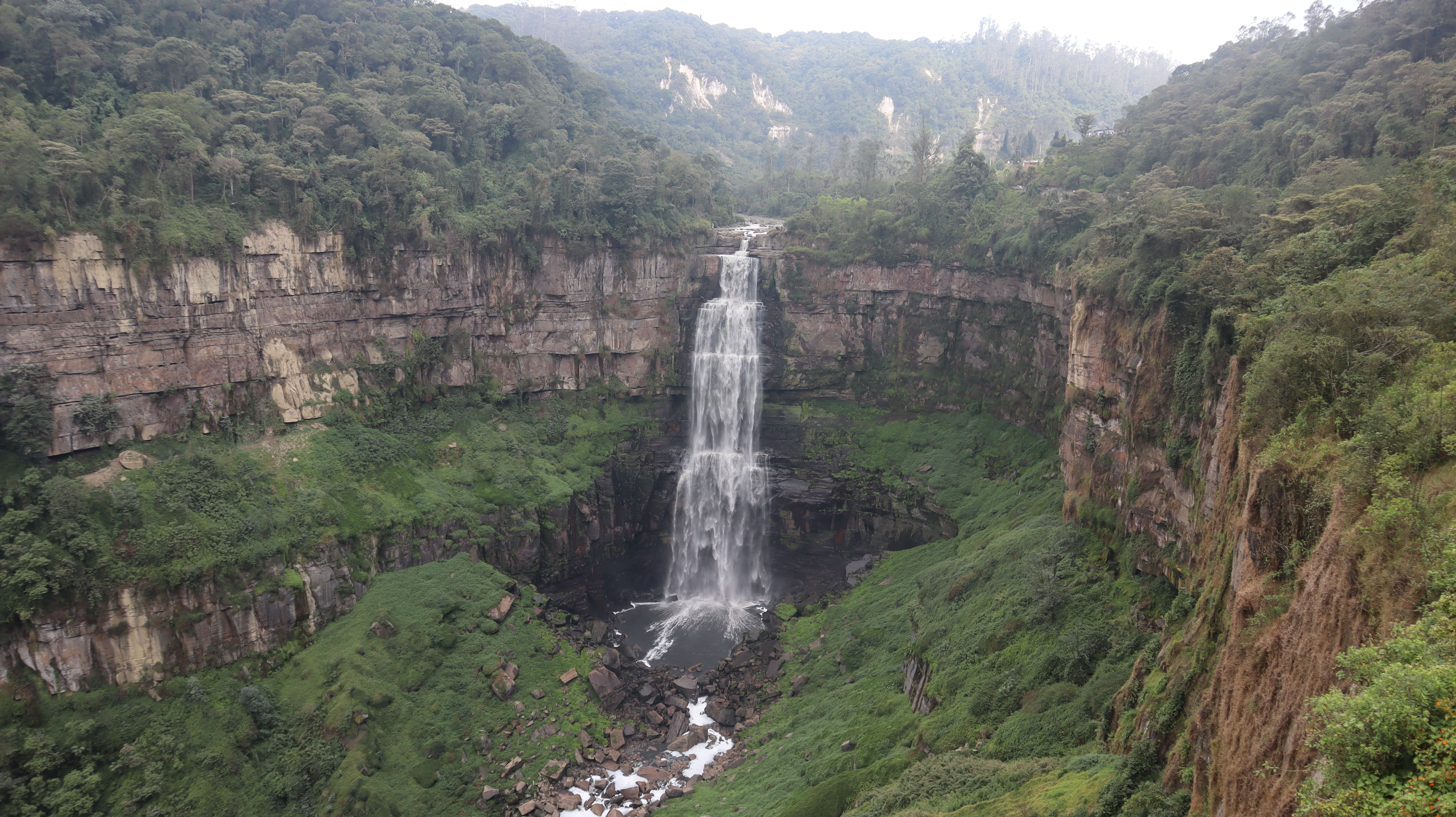 El DMI Salto del Tequendama-Cerro Manjui es un área de manejo especial para la protección del bosque de niebla. Foto: Juan Carlos Pérez Álvarez.