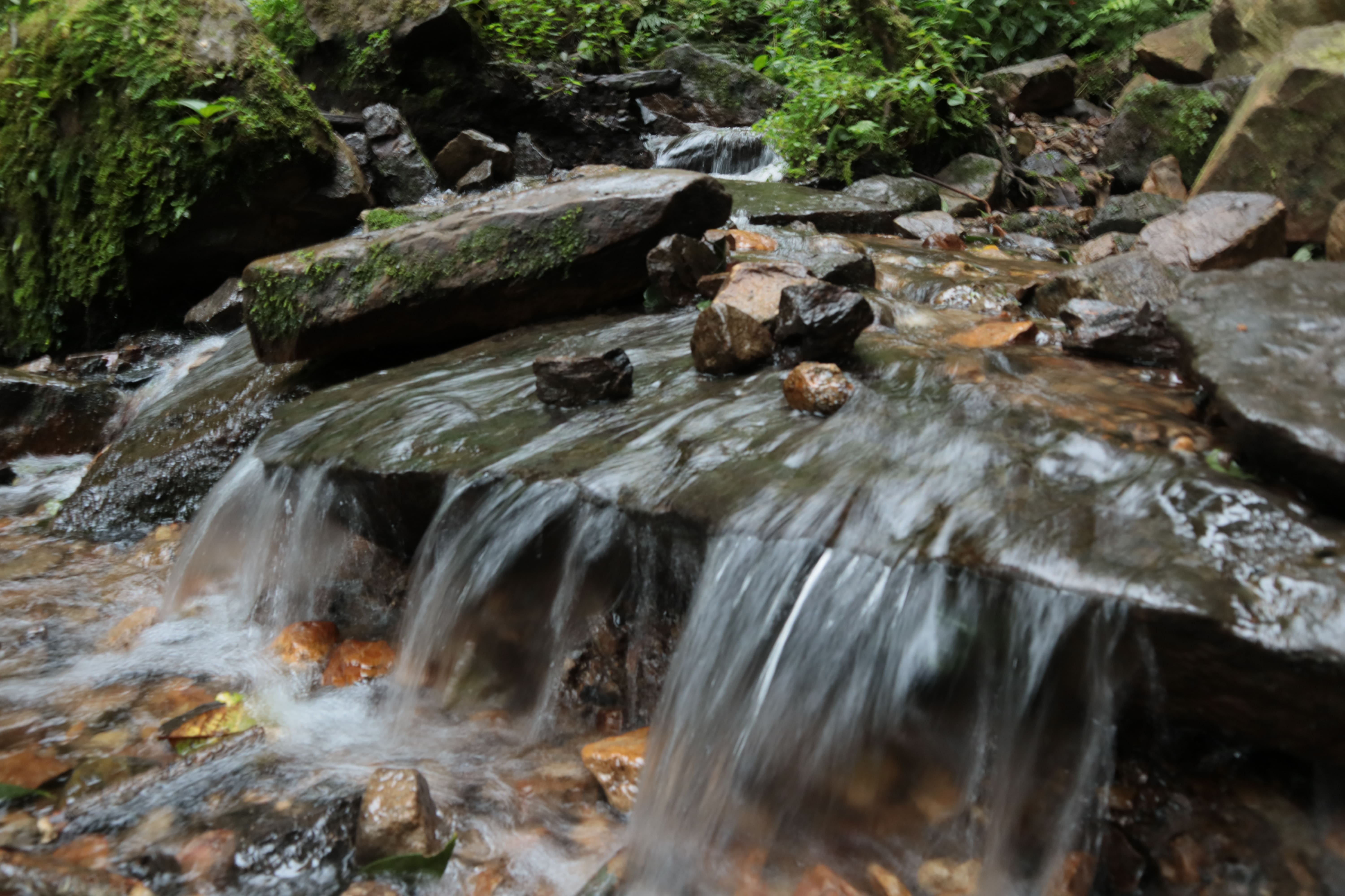 Los bosques de niebla del Tequendama son proveedores de agua para toda la región. Parque Natural Chicaque. Foto: Juan Carlos Pérez Álvarez.