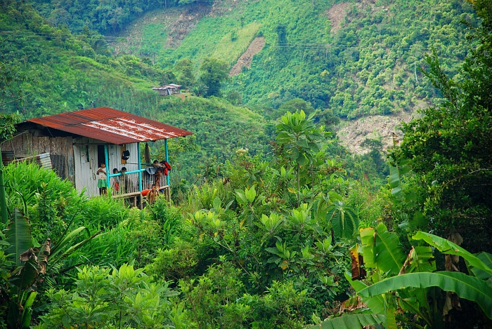 El cañón del Chamí que desemboca cerca de Santa Cecilia fue el refugio del Frente Aurelio Rodríguez de las Farc. Es una zona habitada por indígenas emberá chamí y katíos.  Fotografía: Rodrigo Grajales.