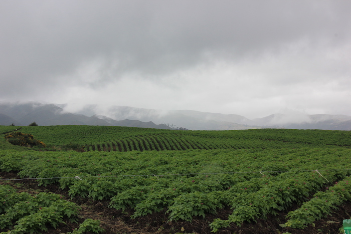 La cercanía de Usme con el Páramo de Sumapaz convirtió a la localidad en punto estratégico para que las Farc empezara a sitiar a Bogotá en la segunda mitad de la década del noventa. Foto: Héctor Vásquez.