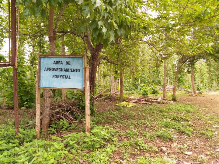 Este aviso, ubicado en la ye entre Palmira y Pajonalito, es el primero que se ve en la zona en la que fueron sembradas más de 500 hectáreas de tierra que antes eran usadas para ganadería y agricultura.