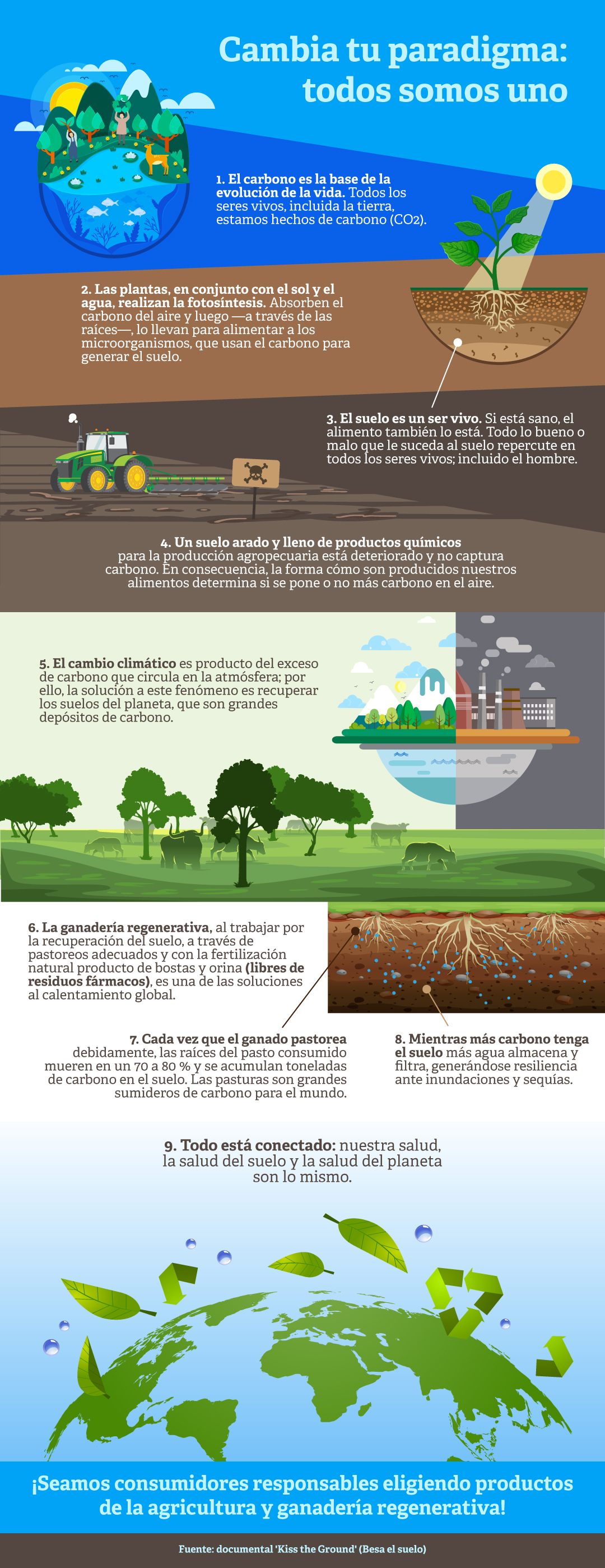 Infografia 3