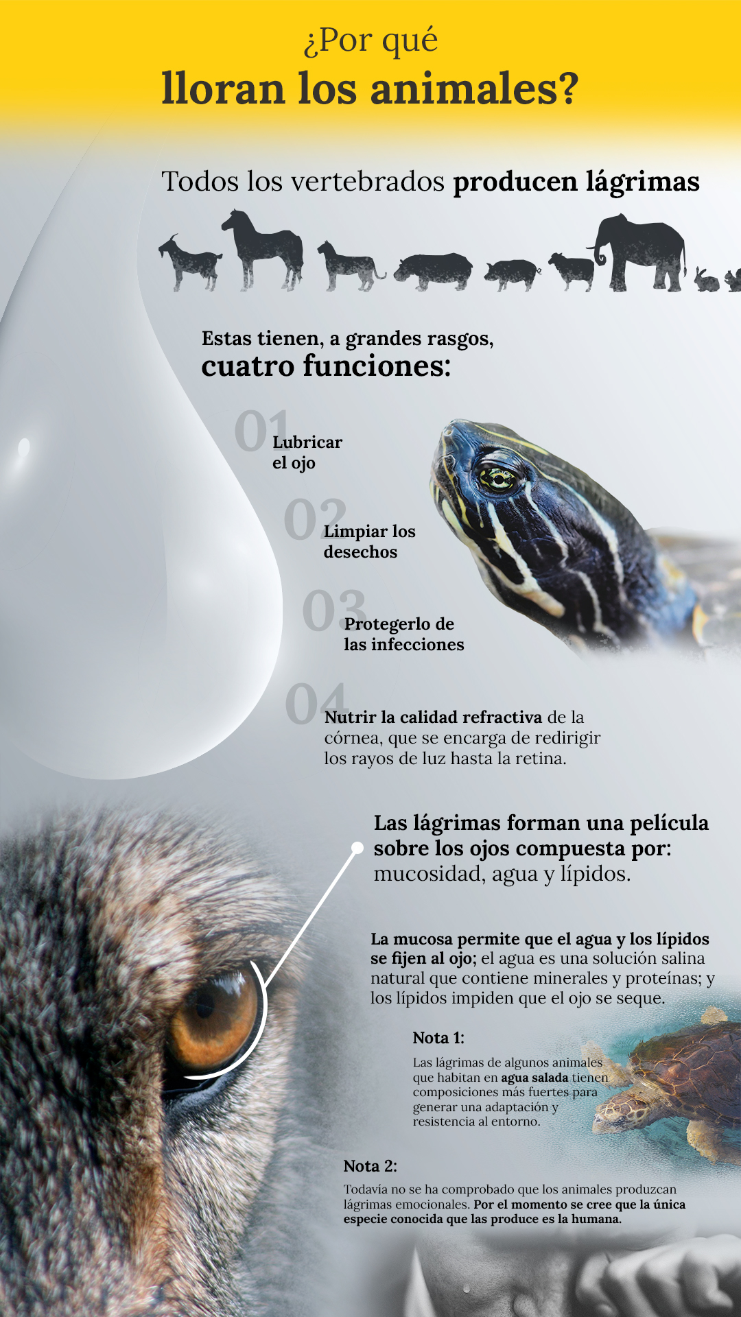 Infografia01