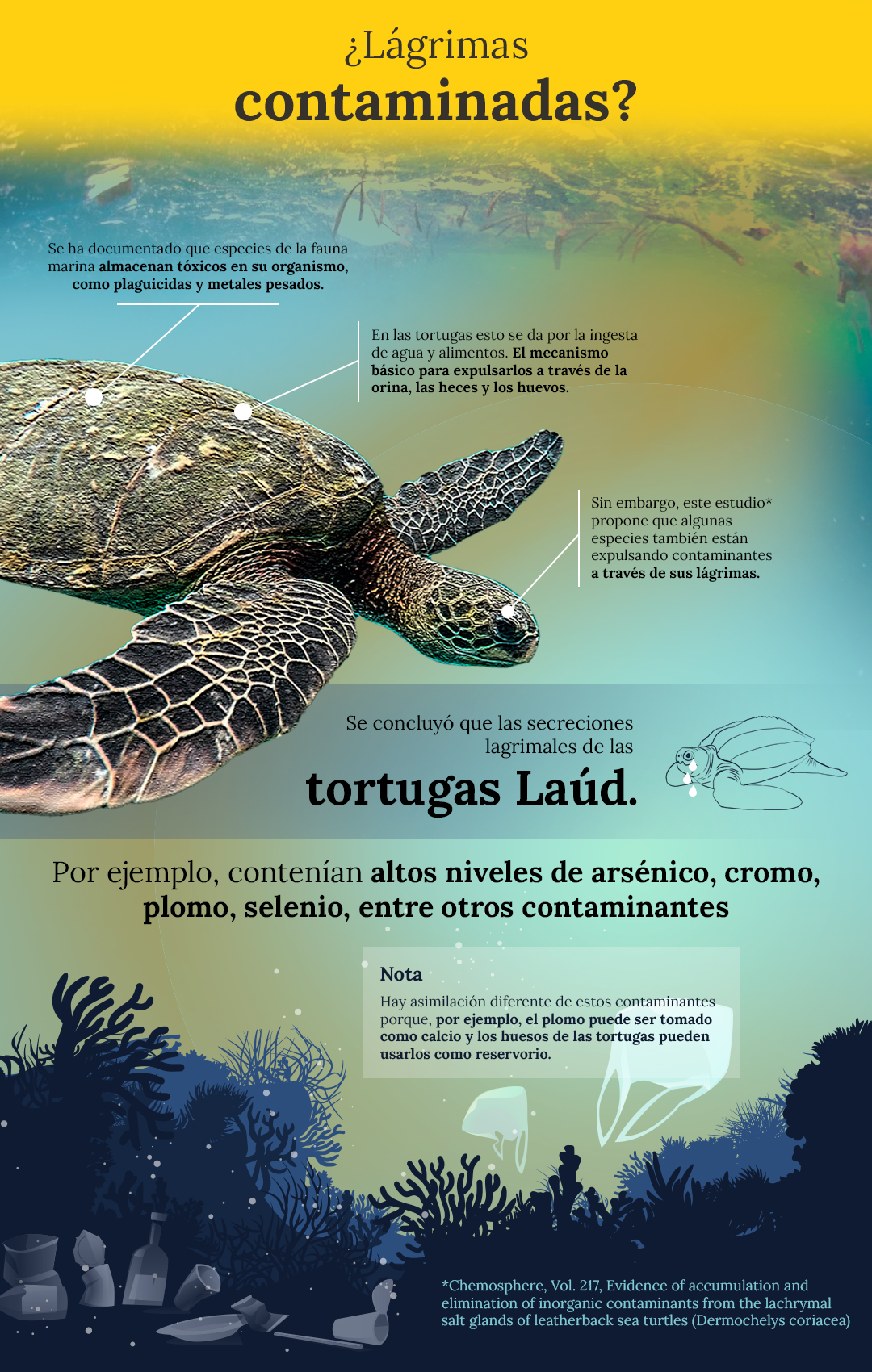 Infografia02