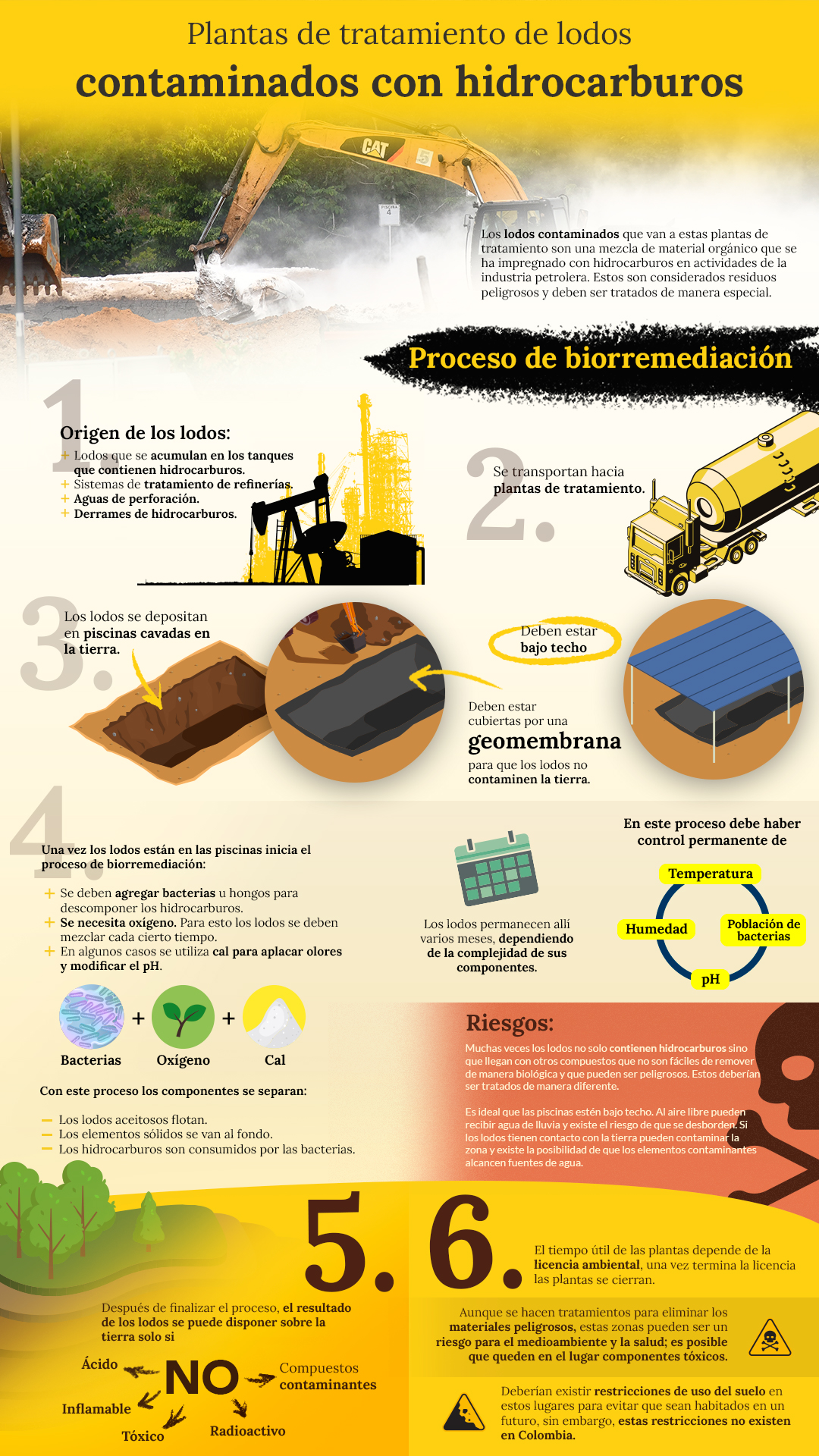 Infografia