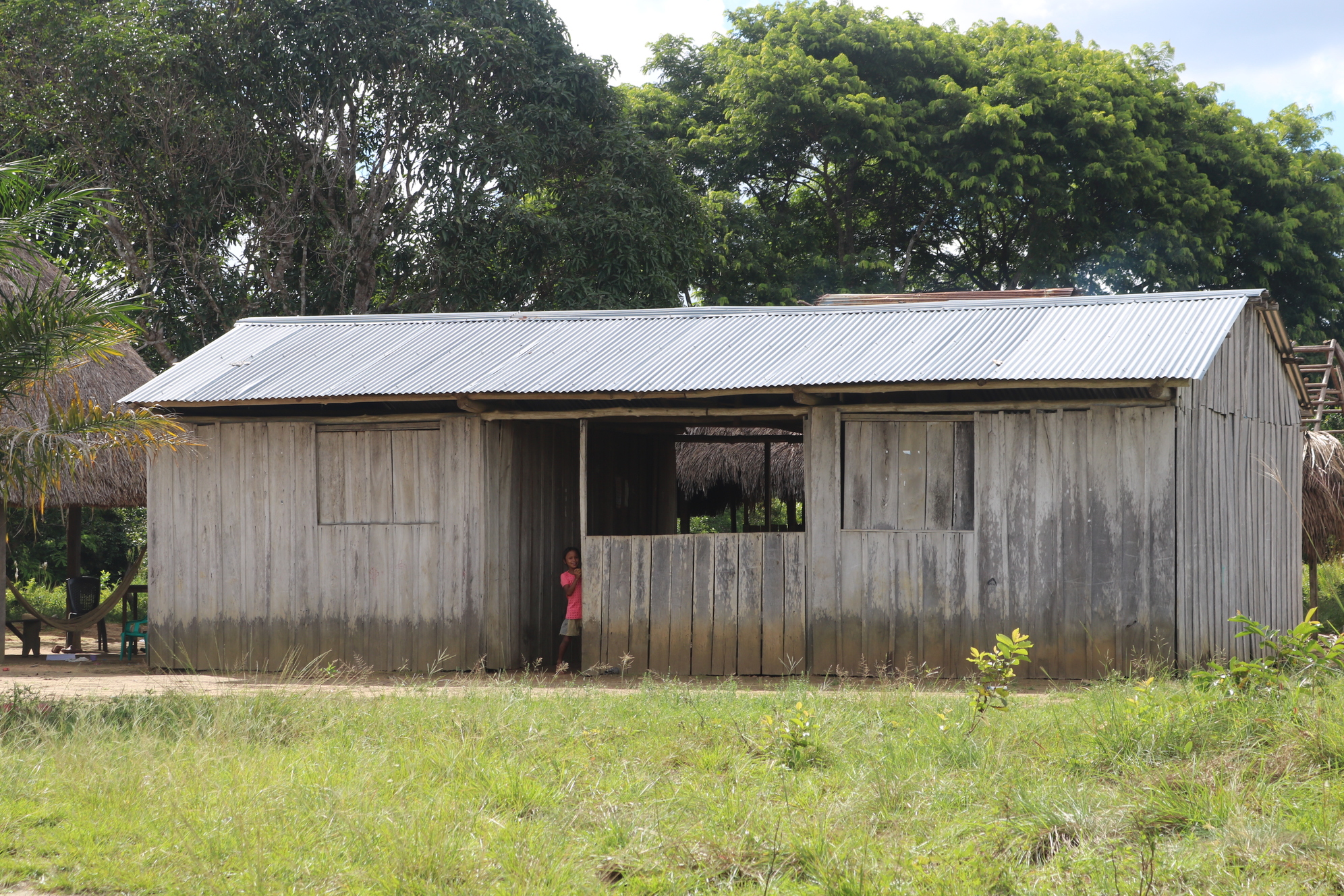 19. Los proyectos de mejoramiento de vivienda del gobierno han llevado a que cada vez mas los indigenas reemplacen la palma de sus techos por zinc 50