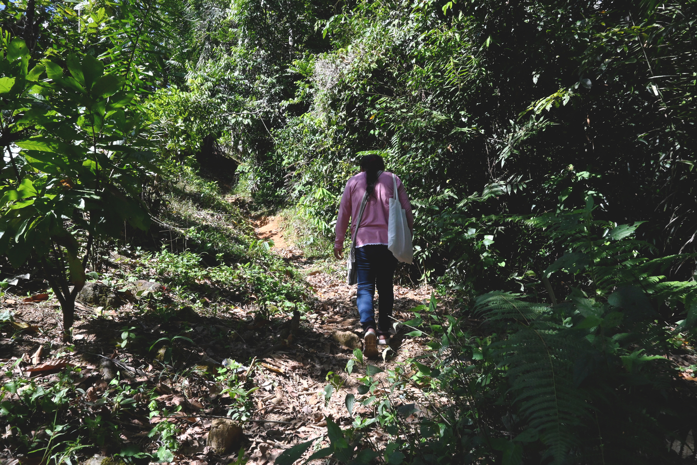 Mujeres lideresas En busca de Luzmila 1 25