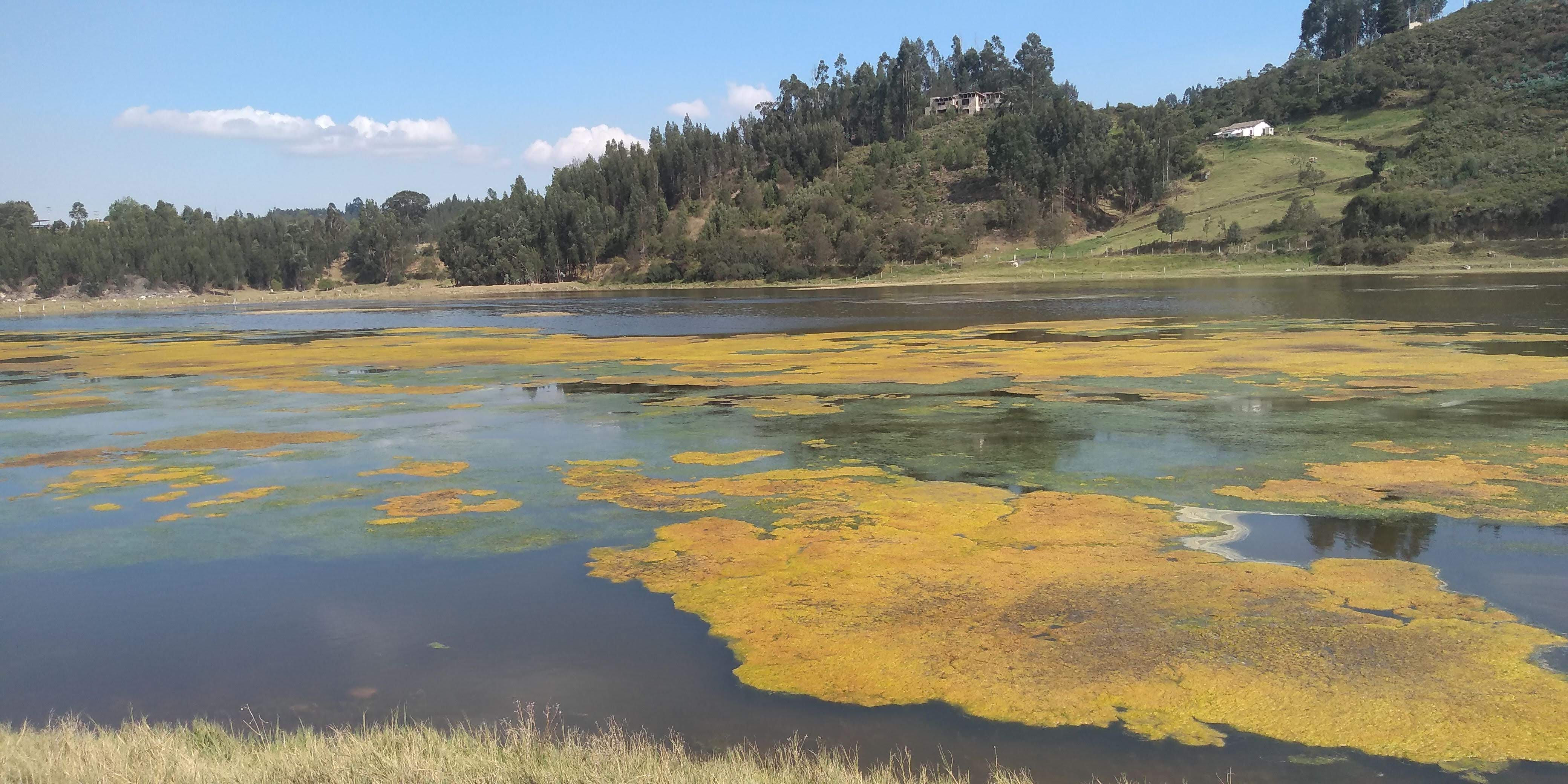 lagosochagota imagen2