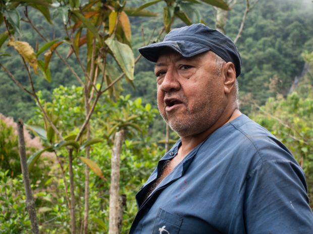 “Aquí yo no tumbo un árbol para nada”, explica José Iván junto a un tronco derribado por la lluvia. “Yo recojo el rastrojo que el mismo bosque va tirando y con eso tenemos leña”, afirma. Fotografía: Angie Serna Morales.