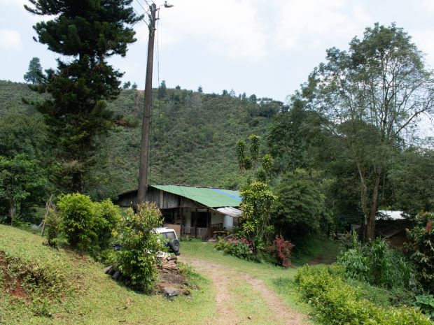 Desde La Gloria, su finca ubicada en el corregimiento San Vicente (zona rural de Jamundí, Valle del Cauca), Víctor goza de una vista abierta de las montañas de la Cordillera Occidental. Fotografía: Angie Serna Morales.