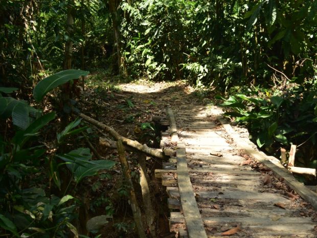 Mujeres y sus procesos de emprendimiento del AETCR de Caño Indio