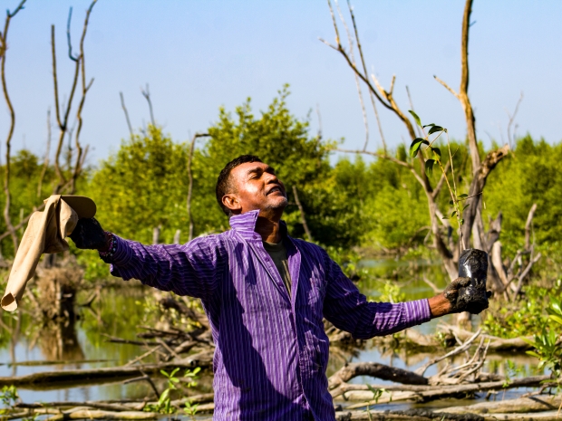 El señor Manuel López, de Cría Pez, bailando la canción El amor de mi tierra, mientras siembra en la Ciénaga Grande de Santa Marta en un viernes de siembra, kilómetro 38, sector Barravieja. Foto: Lady Celis Bernier.