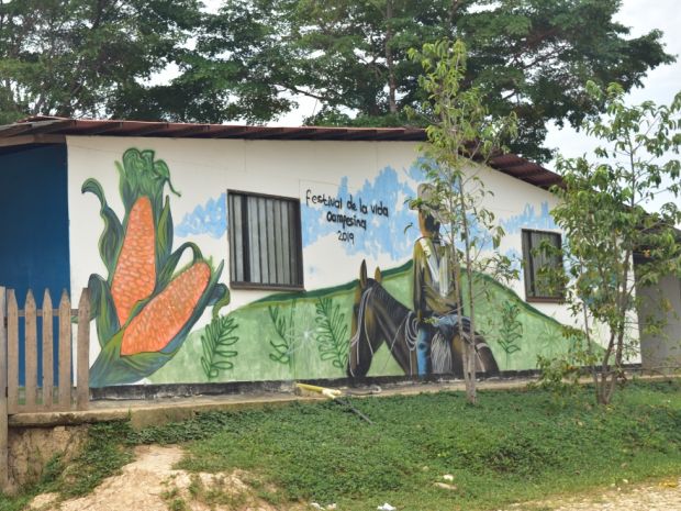 Mujeres y sus procesos de emprendimiento del AETCR de Caño Indio