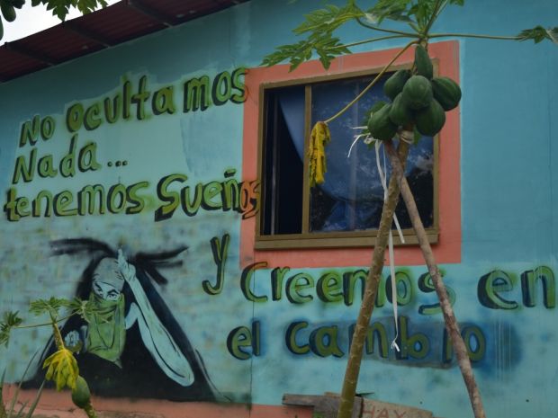 Mujeres y sus procesos de emprendimiento del AETCR de Caño Indio