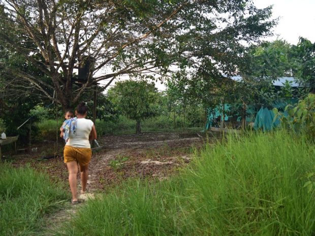 Mujeres y sus procesos de emprendimiento del AETCR de Caño Indio