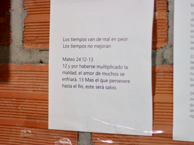 Una Estrella a más de mil kilómetros: la madre venezolana que no dejó de caminar por la vida de su hijo