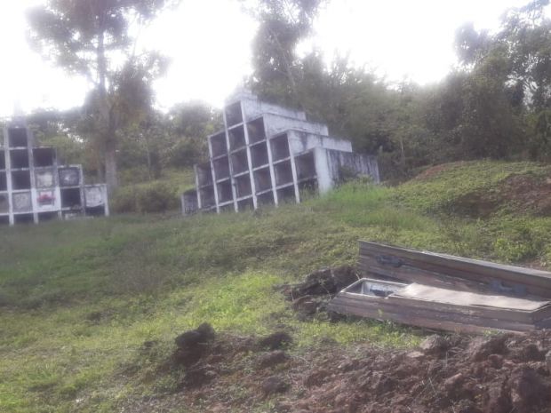 La entrada al cementerio está adornada por una selva tupida de arbustos.