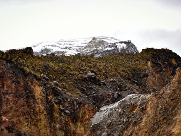 El Parque de Los Nevados puede llegar a tener picos de altura de hasta 5300 metros sobre el nivel del mar.