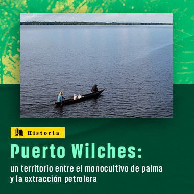 Puerto Wilches: un territorio entre el monocultivo  de palma y la extracción petrolera 