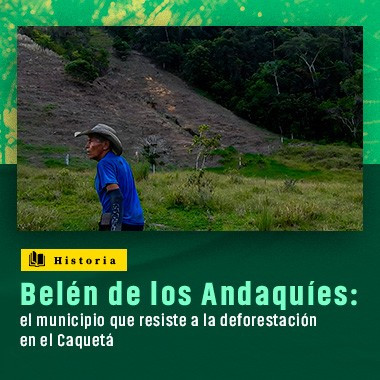 Belén de los Andaquíes: el municipio que resiste  a la deforestación en el Caquetá