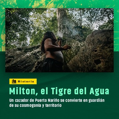 Milton, el Tigre del Agua