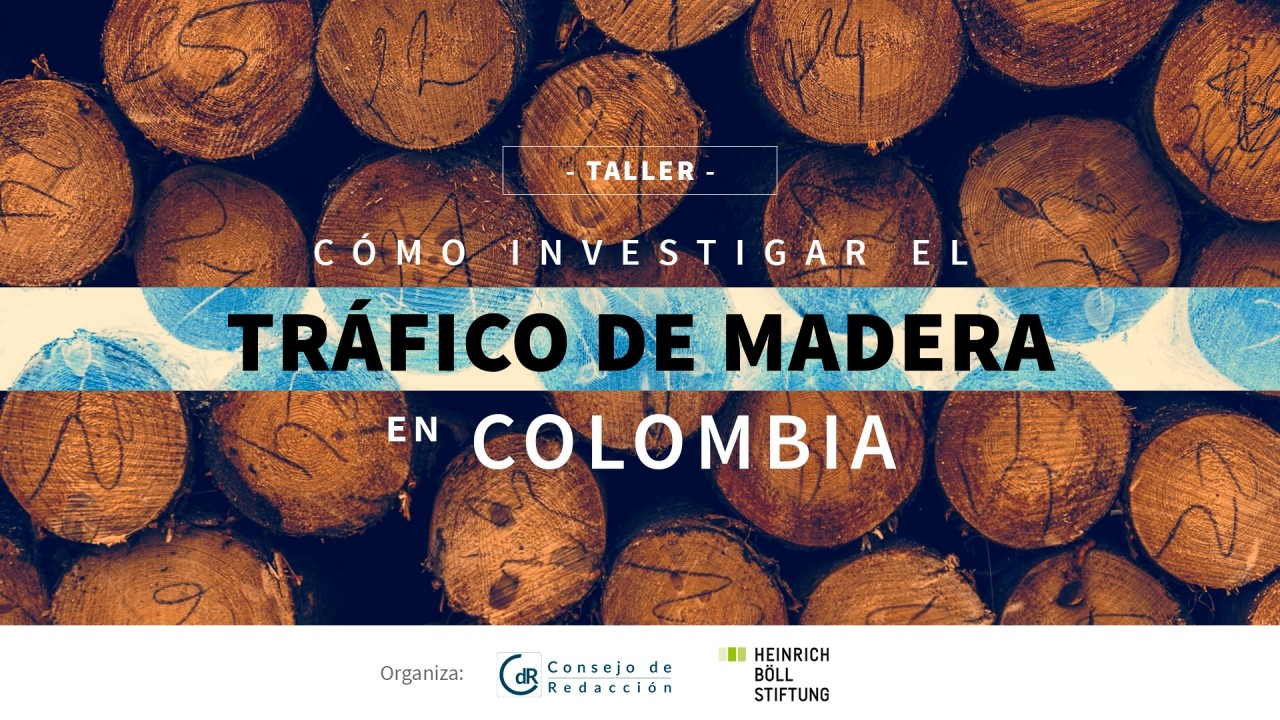 Participa en el taller “cómo investigar el tráfico de madera en Colombia”