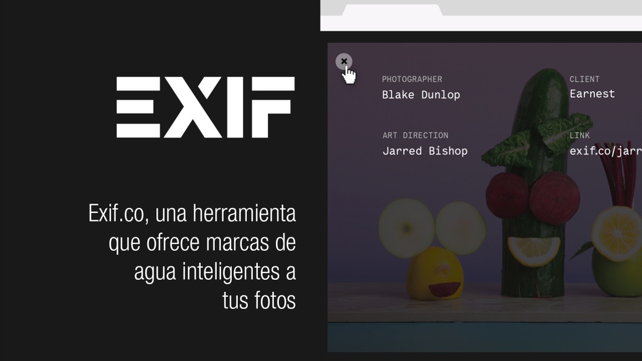 Protege tus imágenes en la web con EXIF