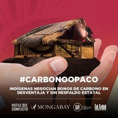 Indígenas negocian bonos de carbono en desventaja y sin respaldo estatal