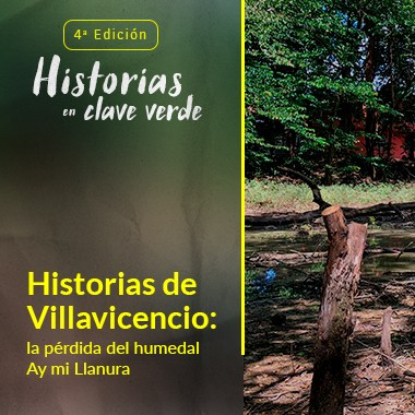 Historias de Villavicencio: la pérdida del humedal Ay mi llanura