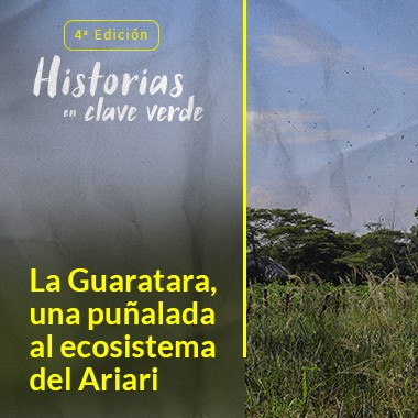 La Guaratara, una puñalada al ecosistema del Ariari