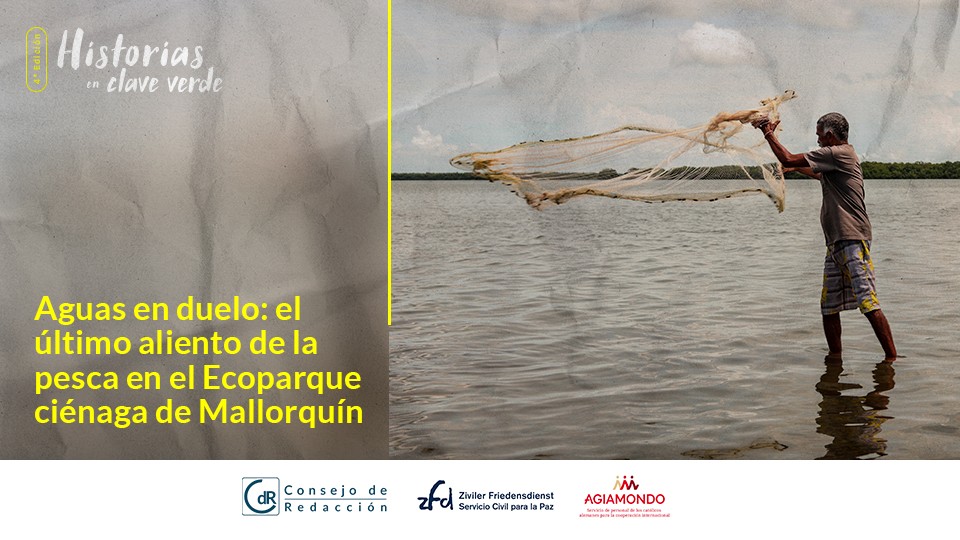 Aguas en duelo: el último aliento de la pesca en el Ecoparque ciénaga de Mallorquín