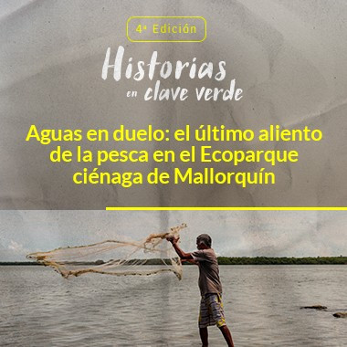 Aguas en duelo: el último aliento de la pesca en el Ecoparque ciénaga de Mallorquín