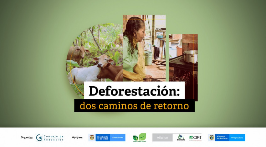 Deforestación: dos caminos de retorno