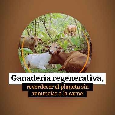 Ganadería regenerativa, reverdecer el planeta sin renunciar a la carne