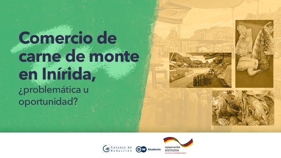 El comercio de carne de monte en Inírida, ¿problema u oportunidad?