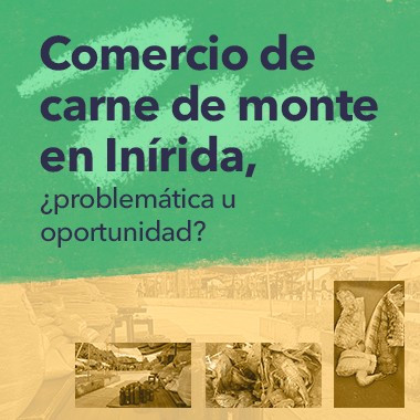 El comercio de carne de monte en Inírida, ¿problema u oportunidad?