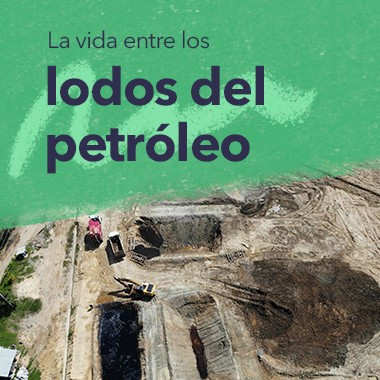 La vida entre los lodos del petróleo