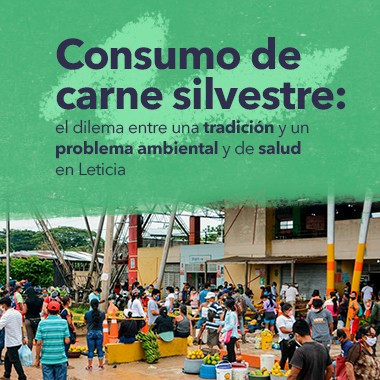 Consumo de carne silvestre: el dilema entre una tradición y un problema ambiental y de salud en Leticia