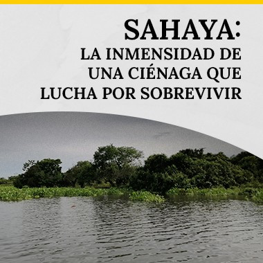 Sahaya: la inmensidad de una ciénaga que lucha por sobrevivir