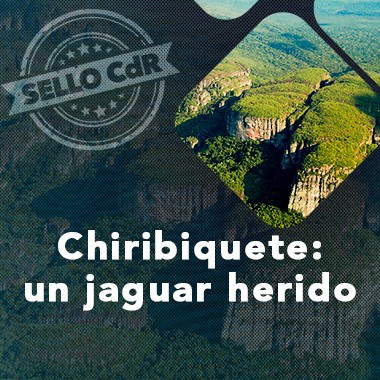 Chiribiquete: un jaguar herido