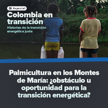 Palmicultura en los Montes de María: ¿obstáculo u oportunidad para la transición energética?