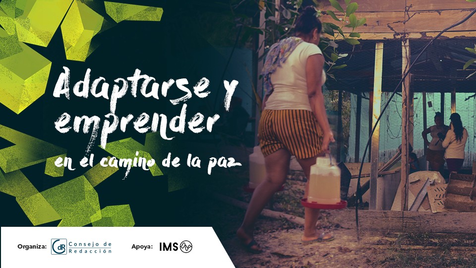 Adaptarse y emprender en el camino de la paz