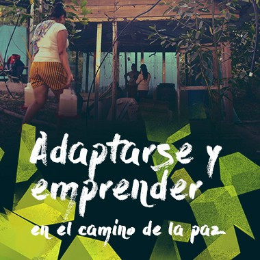 Adaptarse y emprender en el camino de la paz