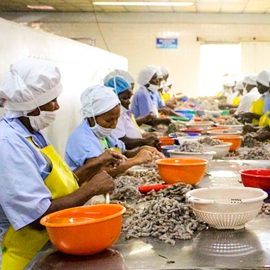 El camarón, sueño de independencia para mujeres en Tumaco