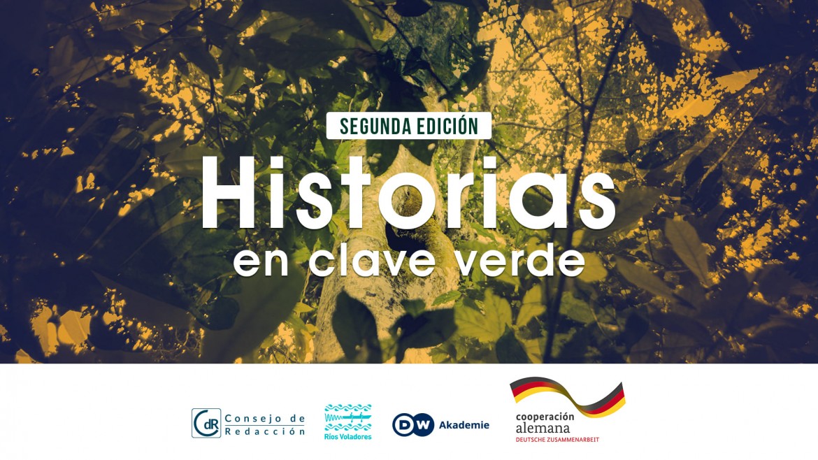 Historias en clave verde. Segunda edición