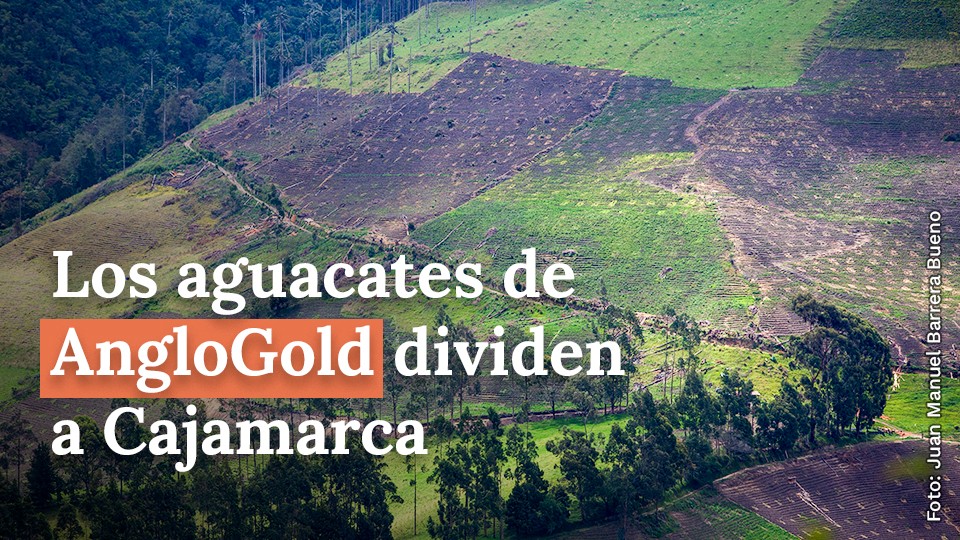 Los aguacates de AngloGold dividen a Cajamarca