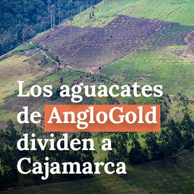 Los aguacates de AngloGold dividen a Cajamarca