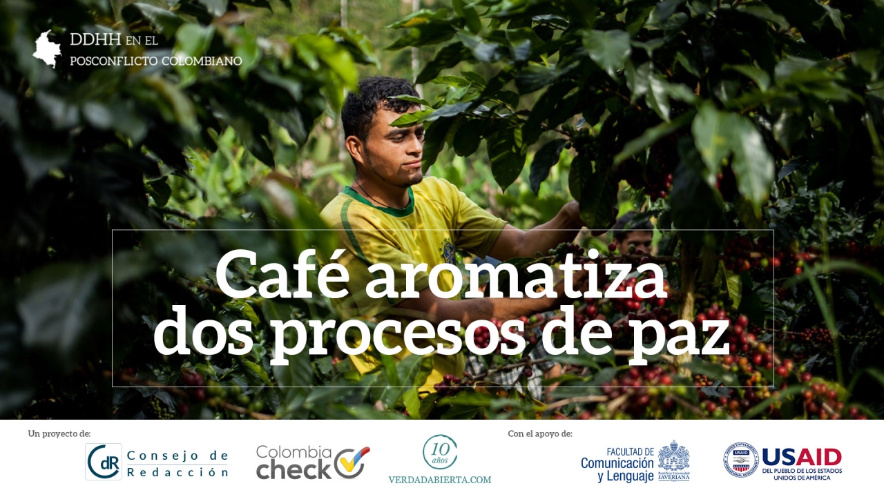 La historia del Café, un transformador de paz y tierras